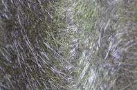 East Firsby fibreglass roof work